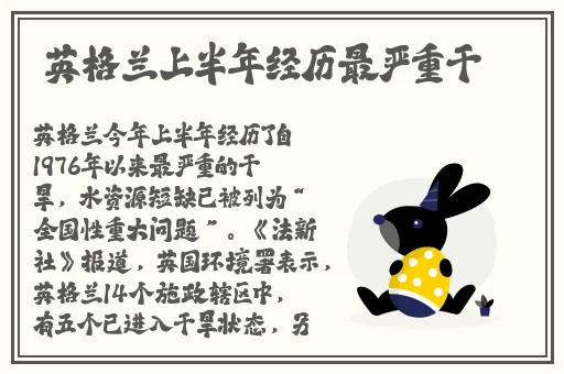 风流艳妇90分钟完整版